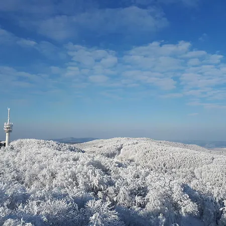 Turistacentrum Pensiune Galyatető