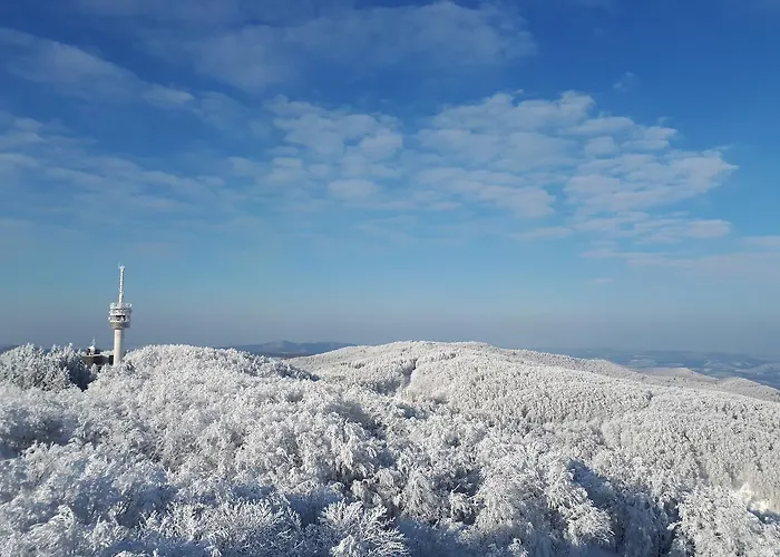 Turistacentrum Pensiune Galyatető